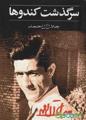 سرگذشت کندوها