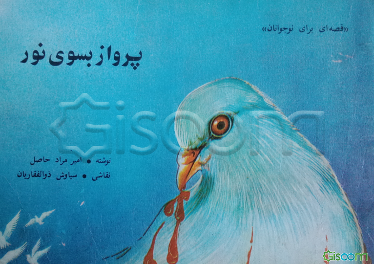 پرواز بسوی نور