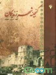 گنجینه شهر زندیگان (زنجان)