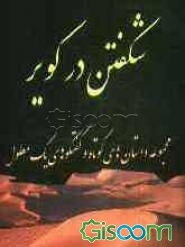 شکفتن در کویر: مجموعه داستانهای کوتاه و گفتگوهای یک معلول