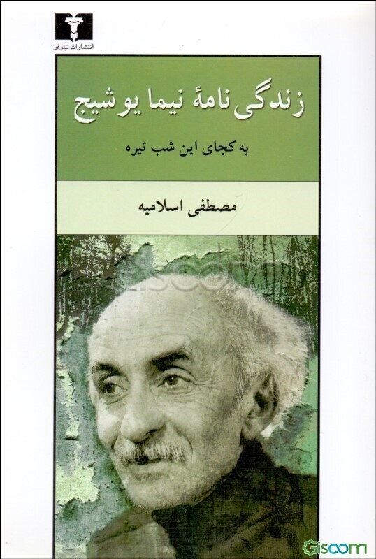 زندگی‌نامه نیما یوشیج: به کجای این شب تیره ...