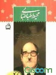 محیط طباطبایی