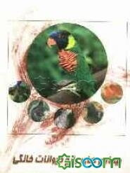 بیماری‌های رایج حیوانات خانگی