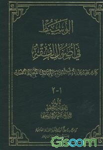 الوسیط فی اصول الفقه: کتاب یبحث عن الادله اللفظیه و العقلیه بین الایجاز و الاطناب (جلد 1)