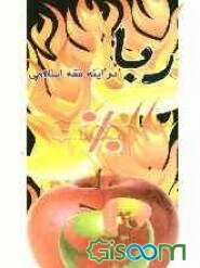 ربا در آینه فقه اسلامی