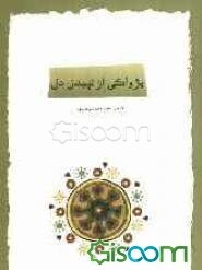 پژواکی از تپیدن دل