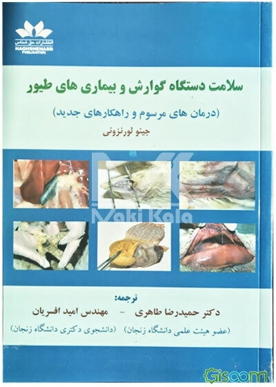 سلامت دستگاه گوارش و بیماری‌های طیور (درمان‌های مرسوم و راهکارهای جدید)