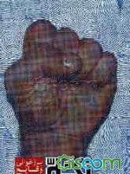 تجلی بصیرت: بازخوانی فتنه سال 1388