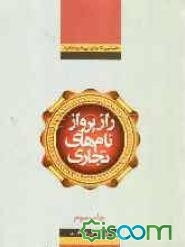 راز پرواز نام‌های تجاری (نخستین کتاب ایرانی مدیریت برند)