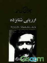 ارزیابی شتاب‌زده