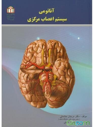 آناتومی سیستم اعصاب مرکزی