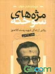 مژه‌های سوخته : روایتی از زندگی شهید یوسف کلاهدوز