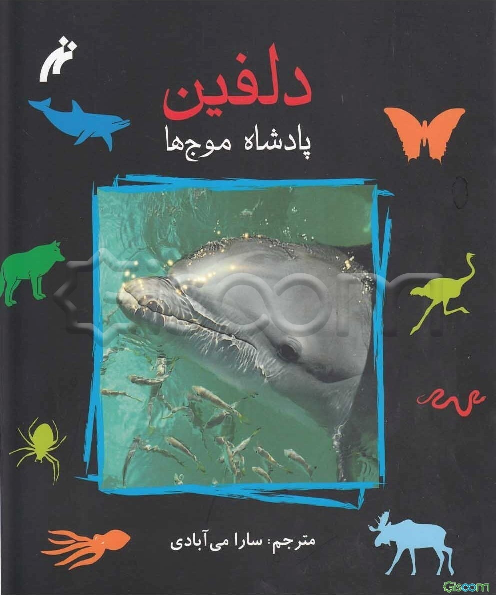 دلفین پادشاه موج‌ها