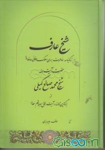 شیخ عارف: زندگینامه، خاطرات، بررسی سلوک عرفانی و اخلاقی حضرت آیت‌الله شیخ محمدصالح کمیلی از بزرگترین تلامذه آیت‌الحق سیدهاشم حداد