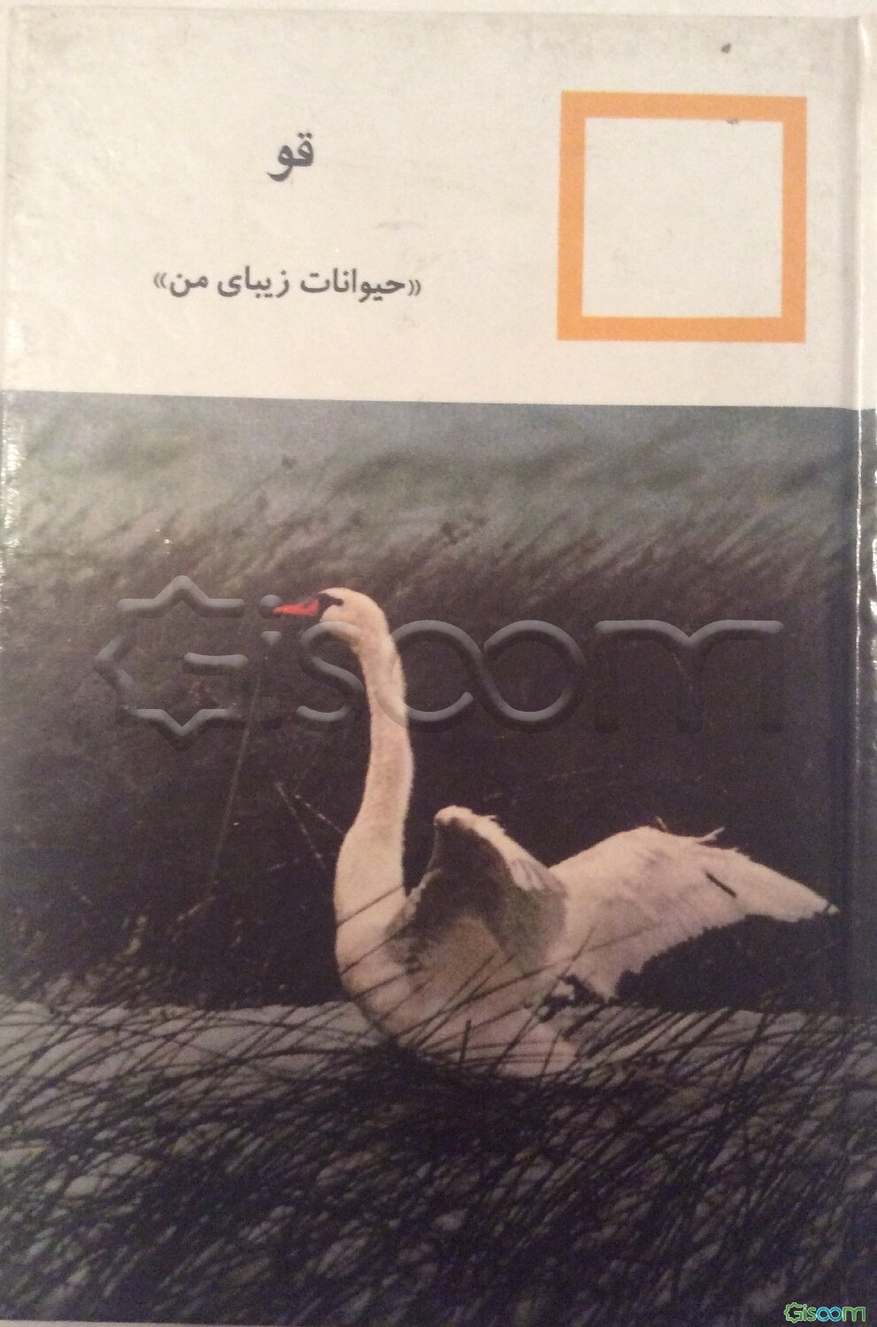 حیوانات زیبای من (قو)