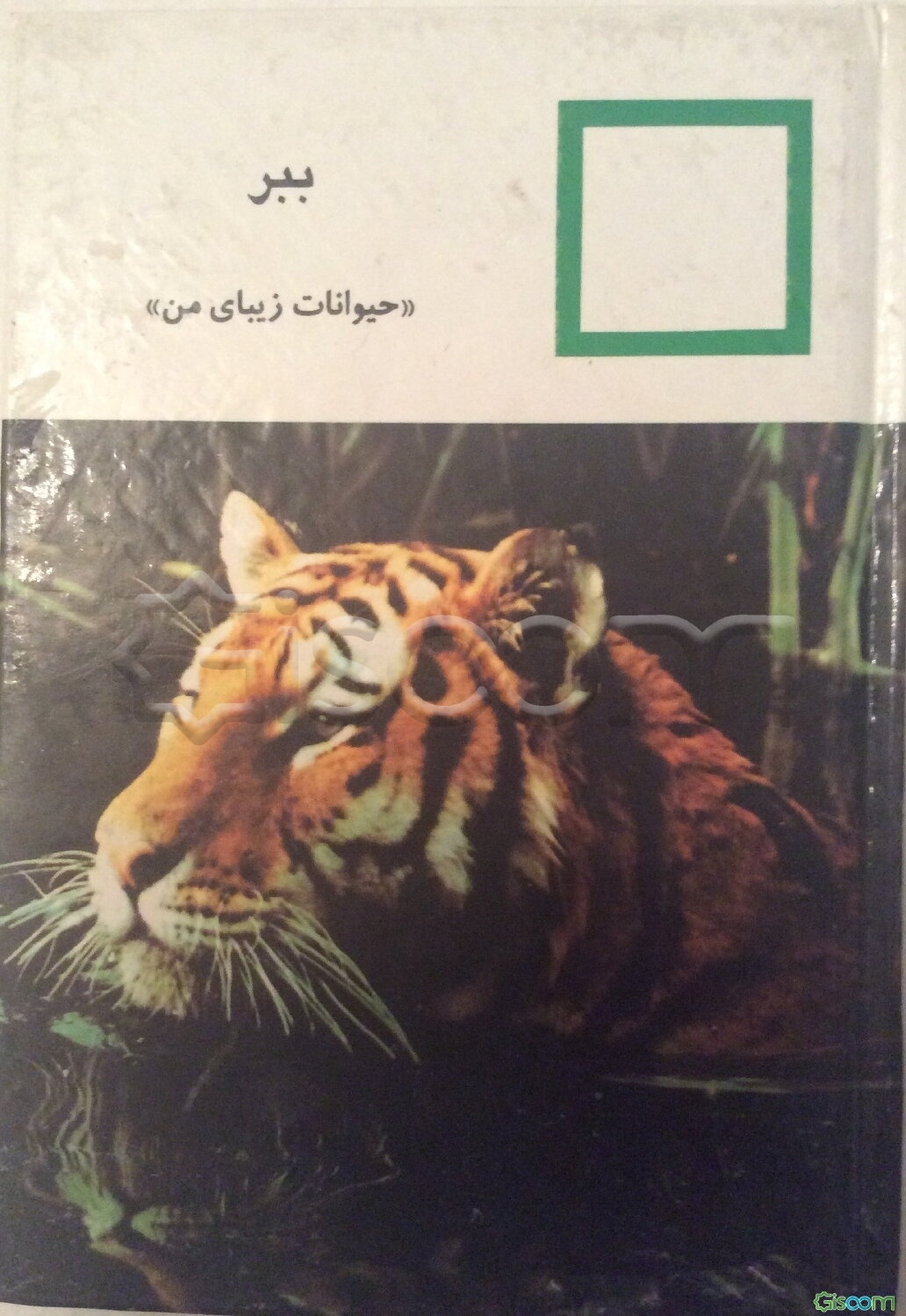 حیوانات زیبای من (ببر)