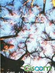 نیک‌مرد برای رسیدن می‌کوشد (جلد 1)