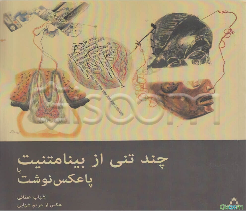 چند تنی از بینامتنیت یا پاعکس‌نوشت