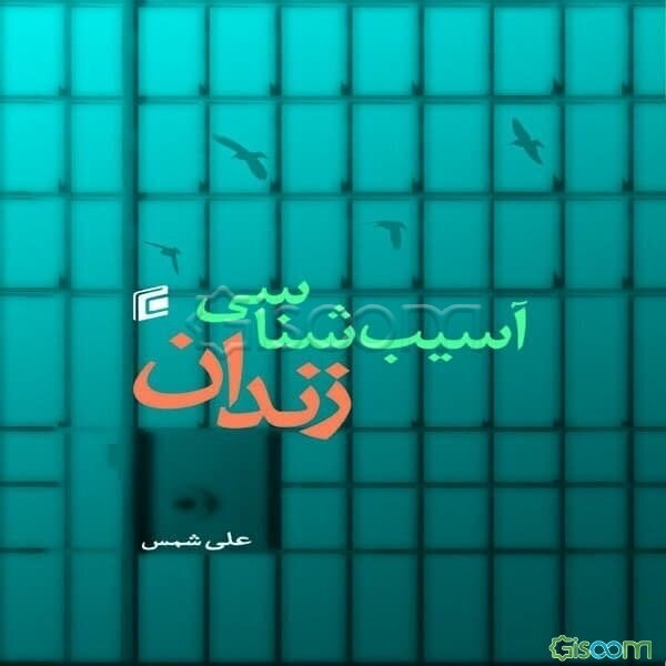 آسیب‌شناسی زندان