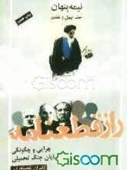 نیمه پنهان: راز قطعنامه: چرایی و چگونگی پایان جنگ تحمیلی (جلد 48)