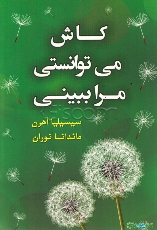 کاش می‌توانستی مرا ببینی