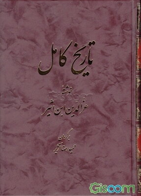 تاریخ کامل ابن اثیر (جلد 7)