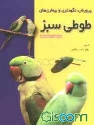 پرورش، نگهداری و بیماری‌های طوطی سبز (شاه‌طوطی، طوطی ملنگو)