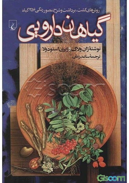 گیاهان دارویی