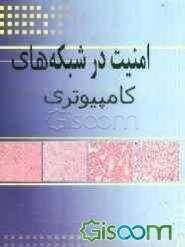 امنیت در شبکه‌های کامپیوتری