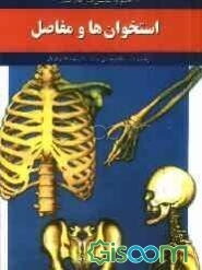 استخوان‌ها و مفاصل