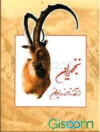 نخجیران (از آغاز تا امروز در ایران)