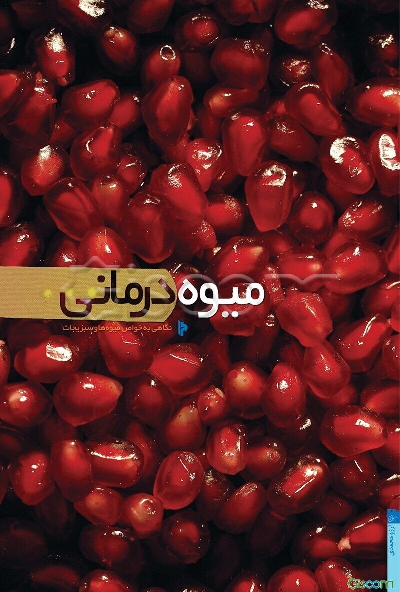 میوه‌درمانی: نگاهی به خواص میوه‌ها و سبزیجات