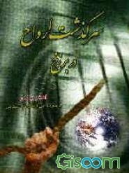 سرگذشت ارواح در برزخ