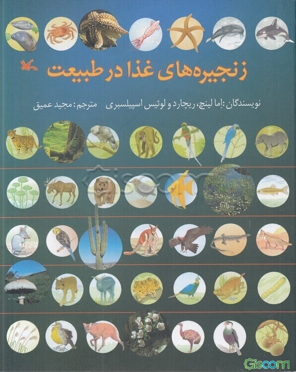 زنجیره‌های غذا در طبیعت