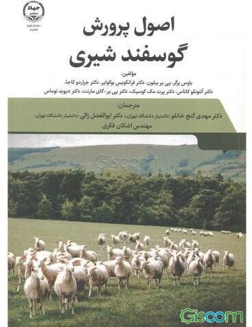 اصول پرورش گوسفند شیری