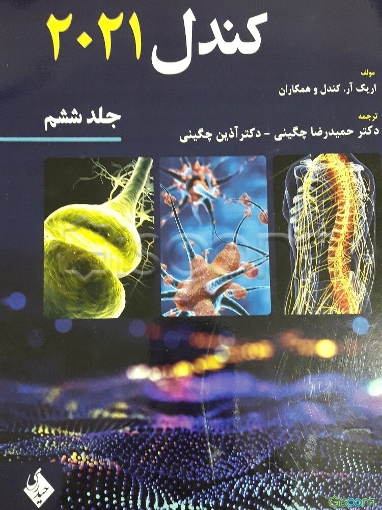 مبانی علوم اعصاب (کندل 2021)  (6)