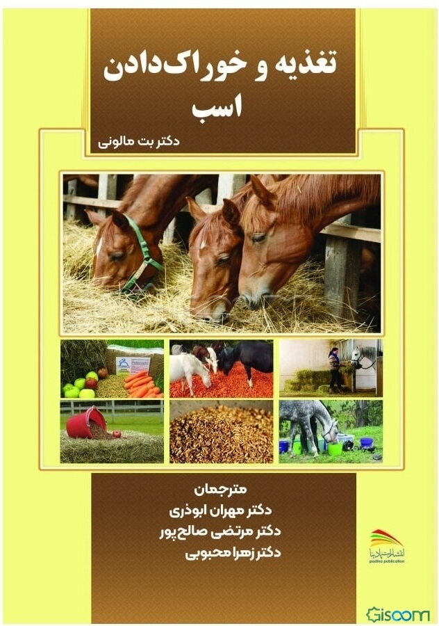 تغذیه و خوراک دادن اسب