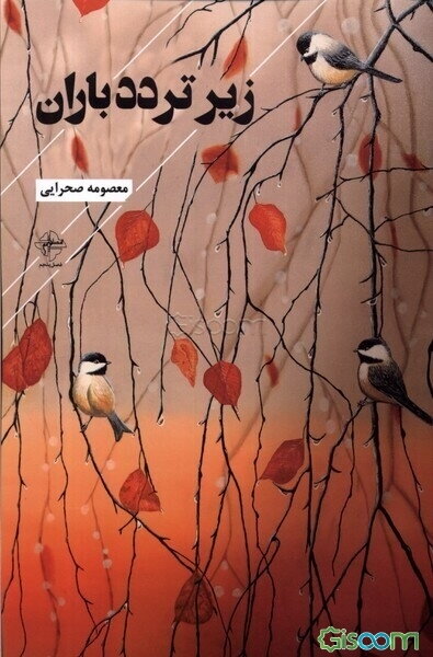 زیر تردد باران