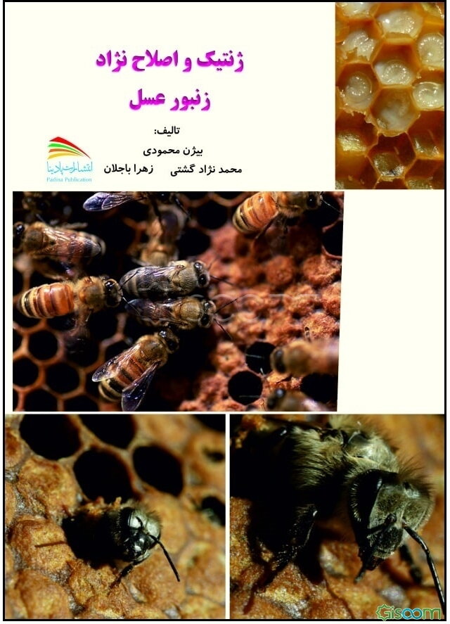 ژنتیک و اصلاح‌نژاد زنبور عسل