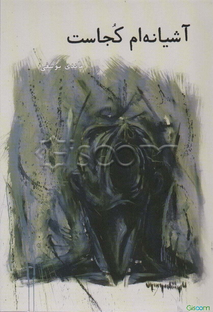 آشیانه‌ام کجاست