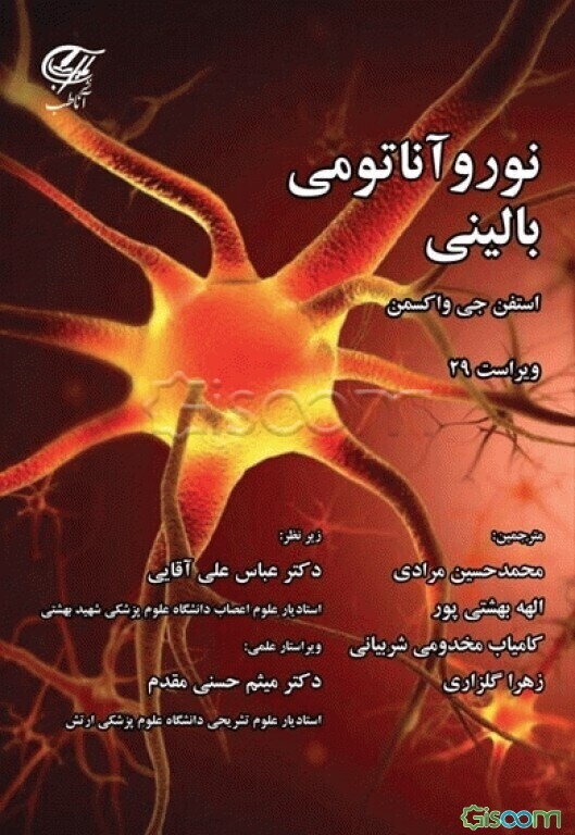 نوروآناتومی بالینی