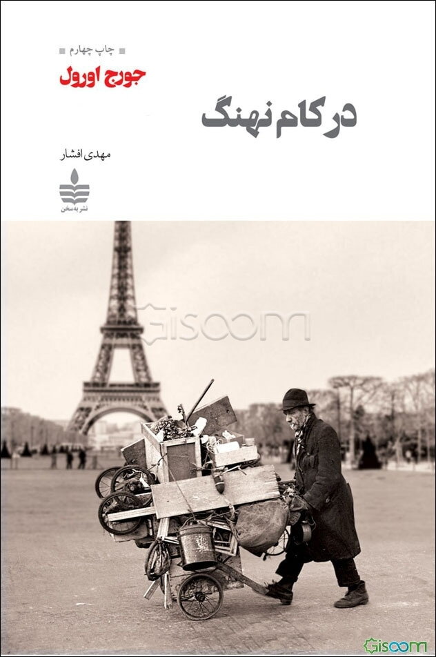 در کام نهنگ و چند مقاله دیگر