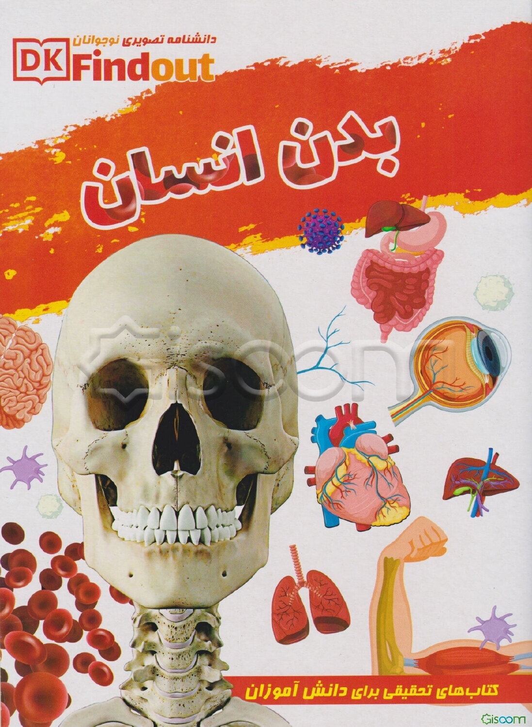 دانستنی‌های علمی از بدن انسان