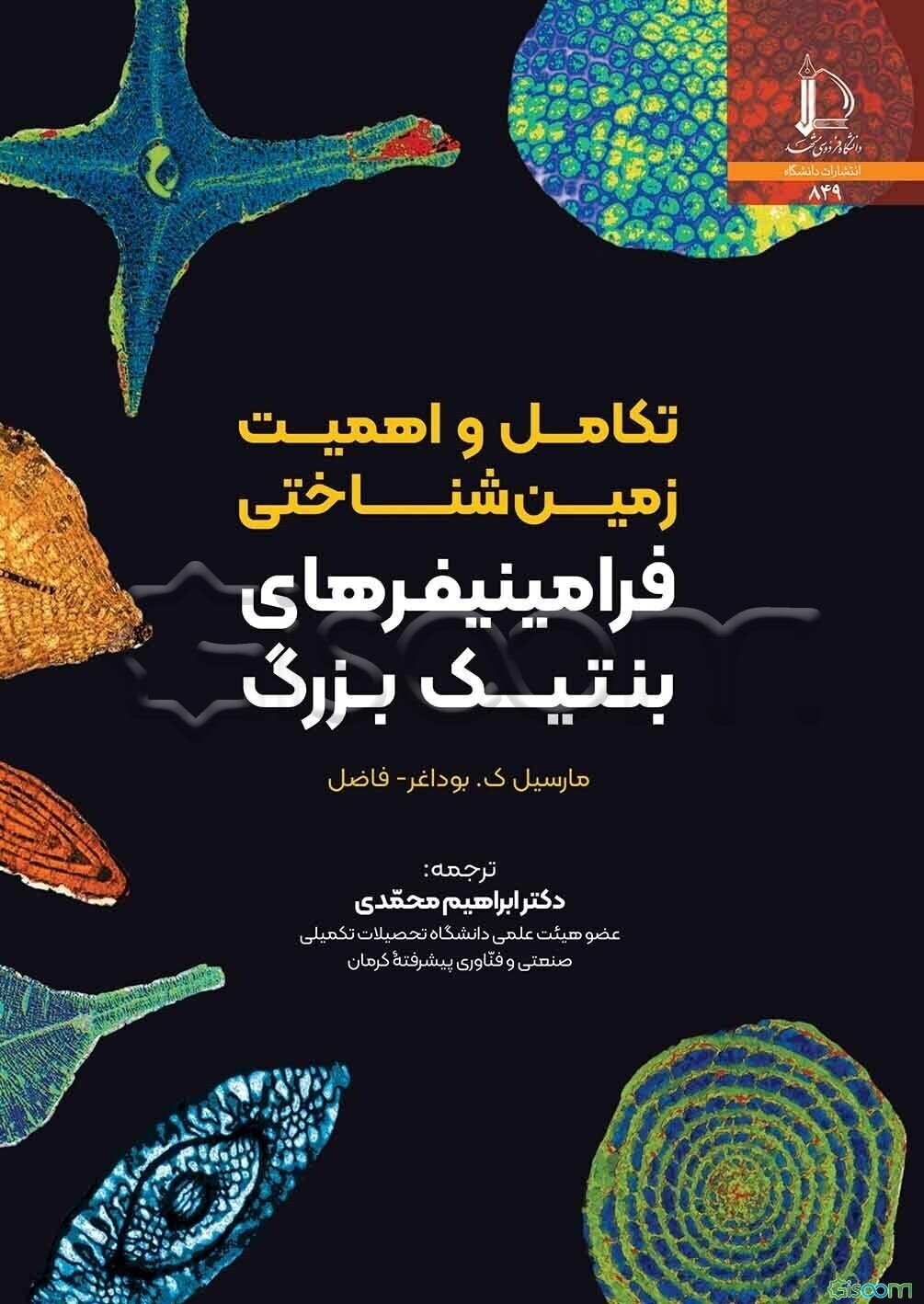 تکامل و اهمیت زمین‌شناختی فرامینیفرهای بنتیک بزرگ