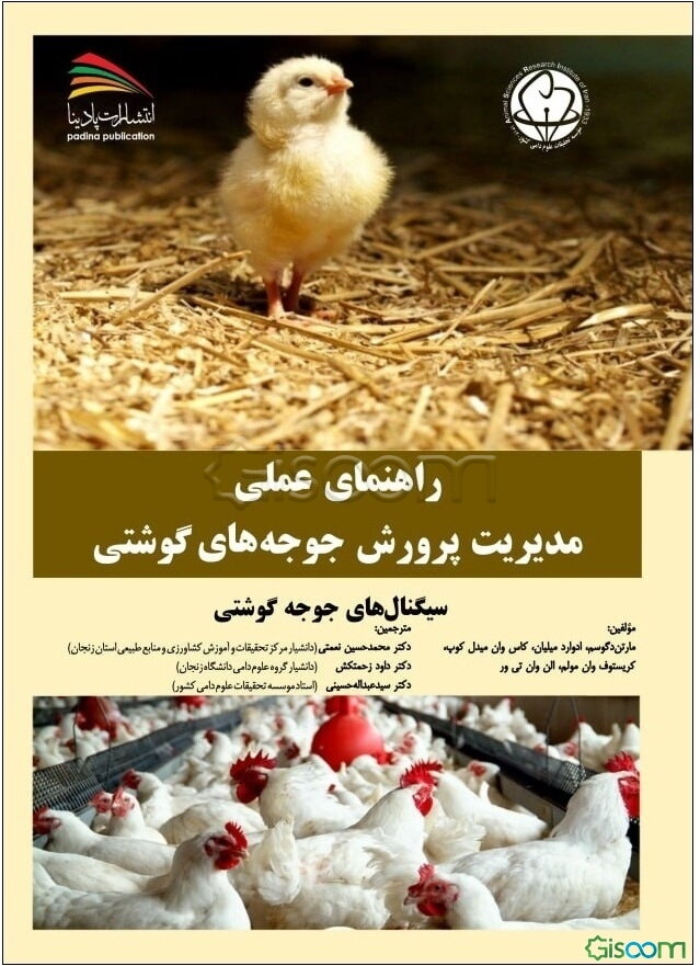 راهنمای عملی مدیریت پرورش جوجه‌های گوشتی: سگینال‌های جوجه گوشتی
