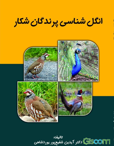 انگل‌شناسی پرندگان شکار