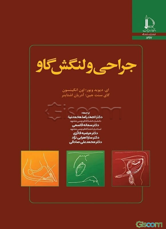 جراحی و لنگش گاو