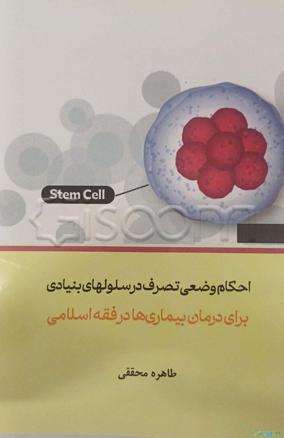 احکام وضعی تصرف در سلول‌های بنیادی برای درمان بیماری‌ها در فقه اسلامی