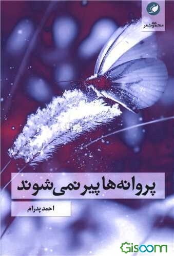 پروانه‌ها پیر نمی‌شوند