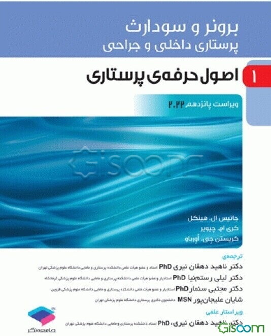 اصول حرفه‌ی پرستاری